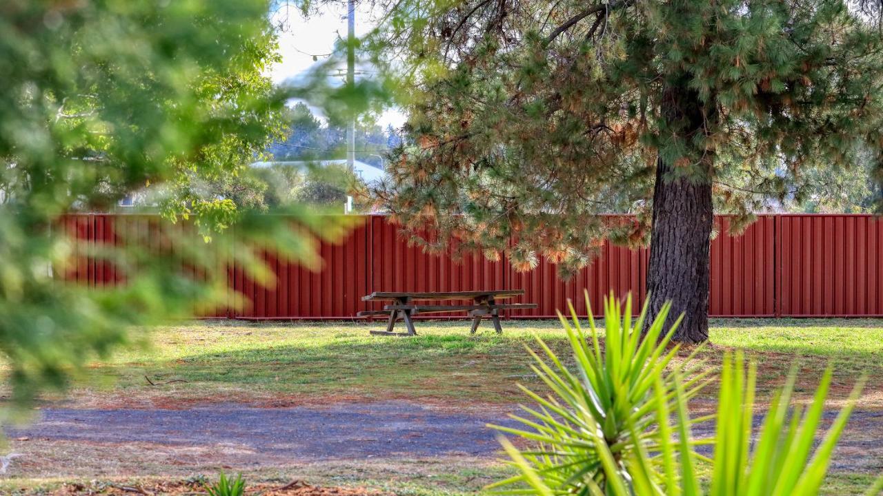 Silver Oaks Motel Gilgandra Exterior foto